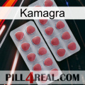 Kamagra 19